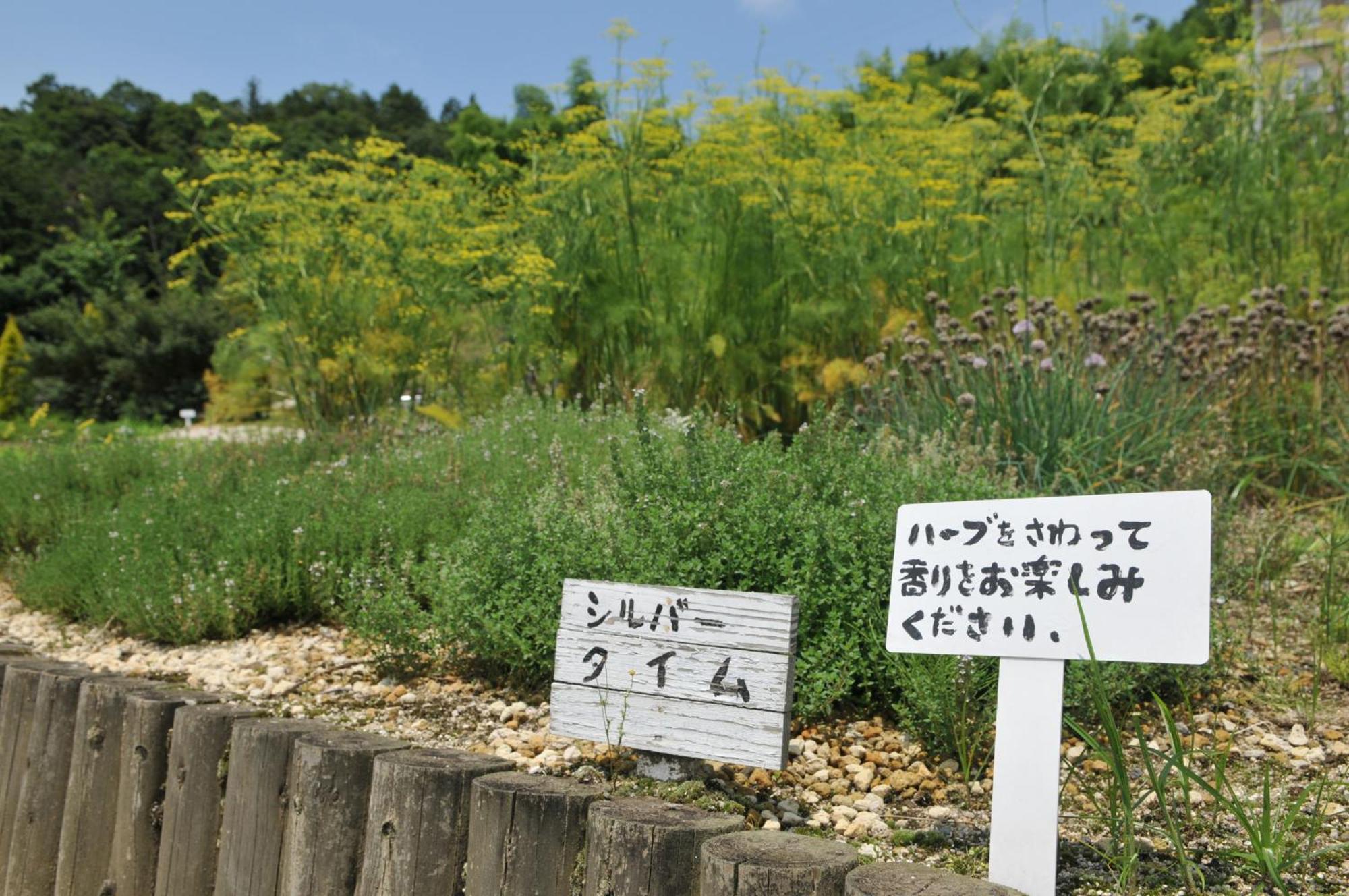 Hashidate Bay Hotel Yosano Dış mekan fotoğraf